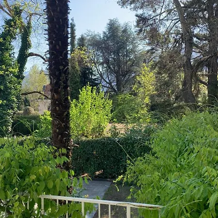 Hotel Zima Merano